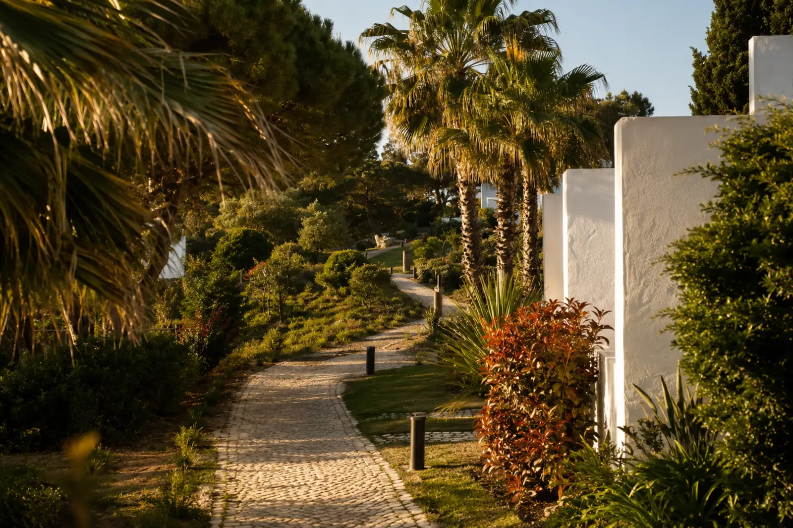 The garden path at Masana