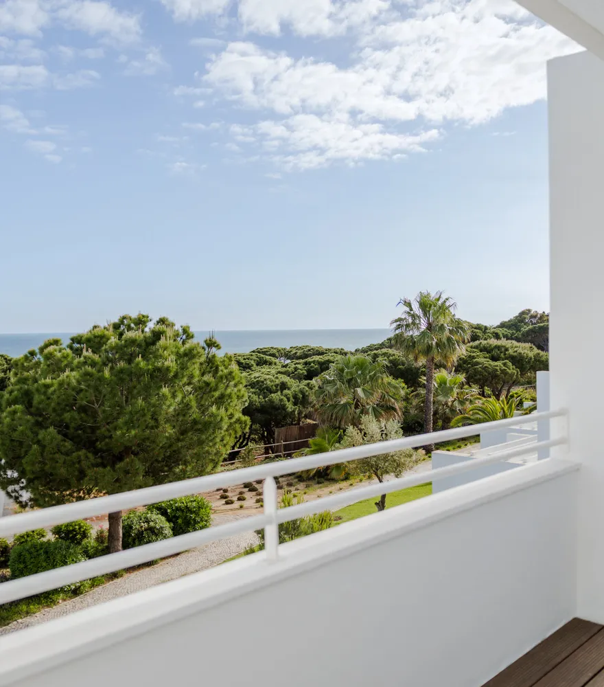 Terrace overlooking the pine grove and the sea