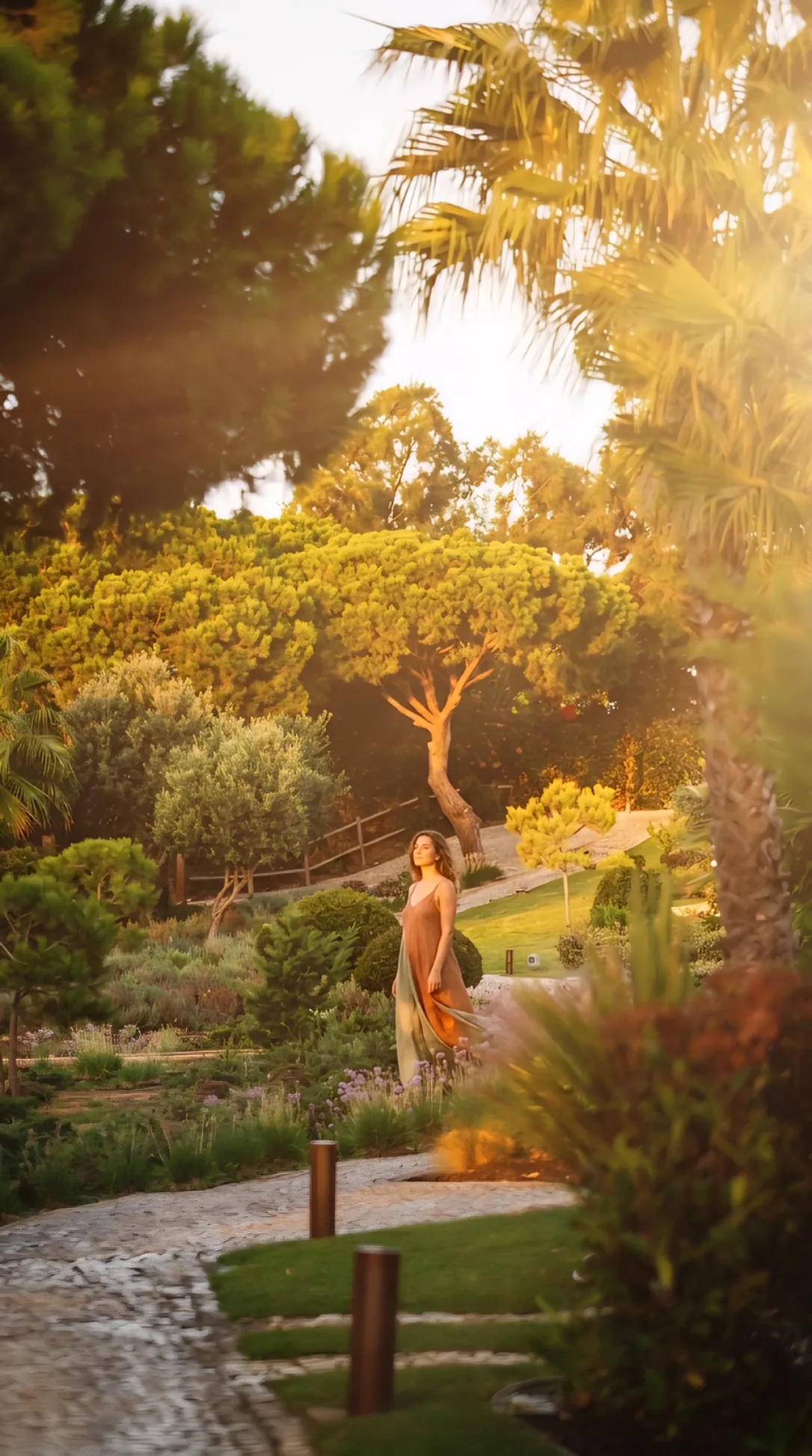 Os jardins de espécies autóctones do Masana