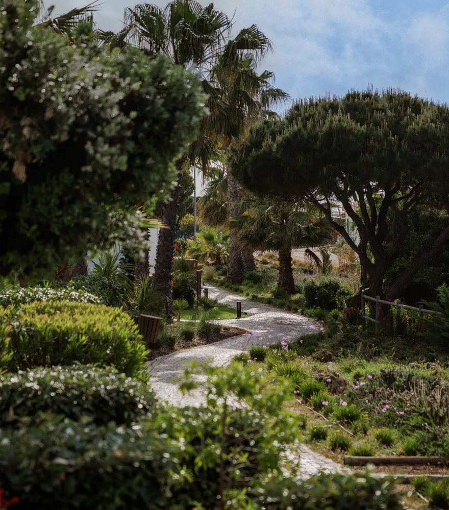 A path winding through the gardens