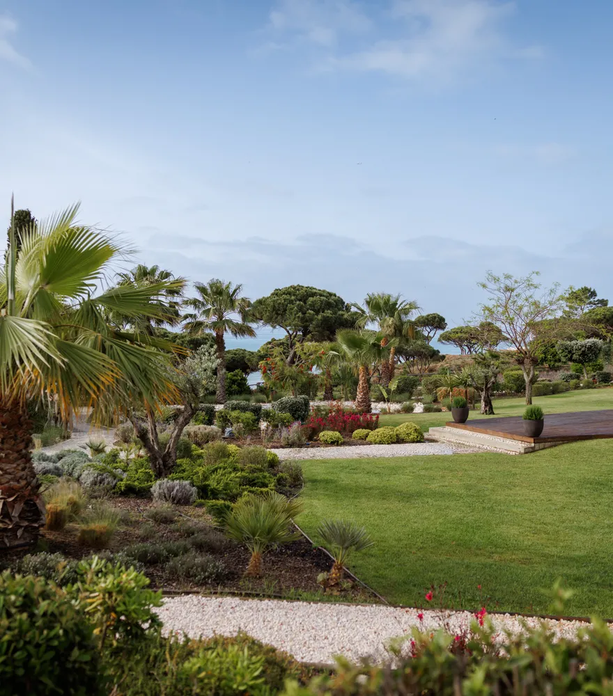 Lawns and palms in the gardens