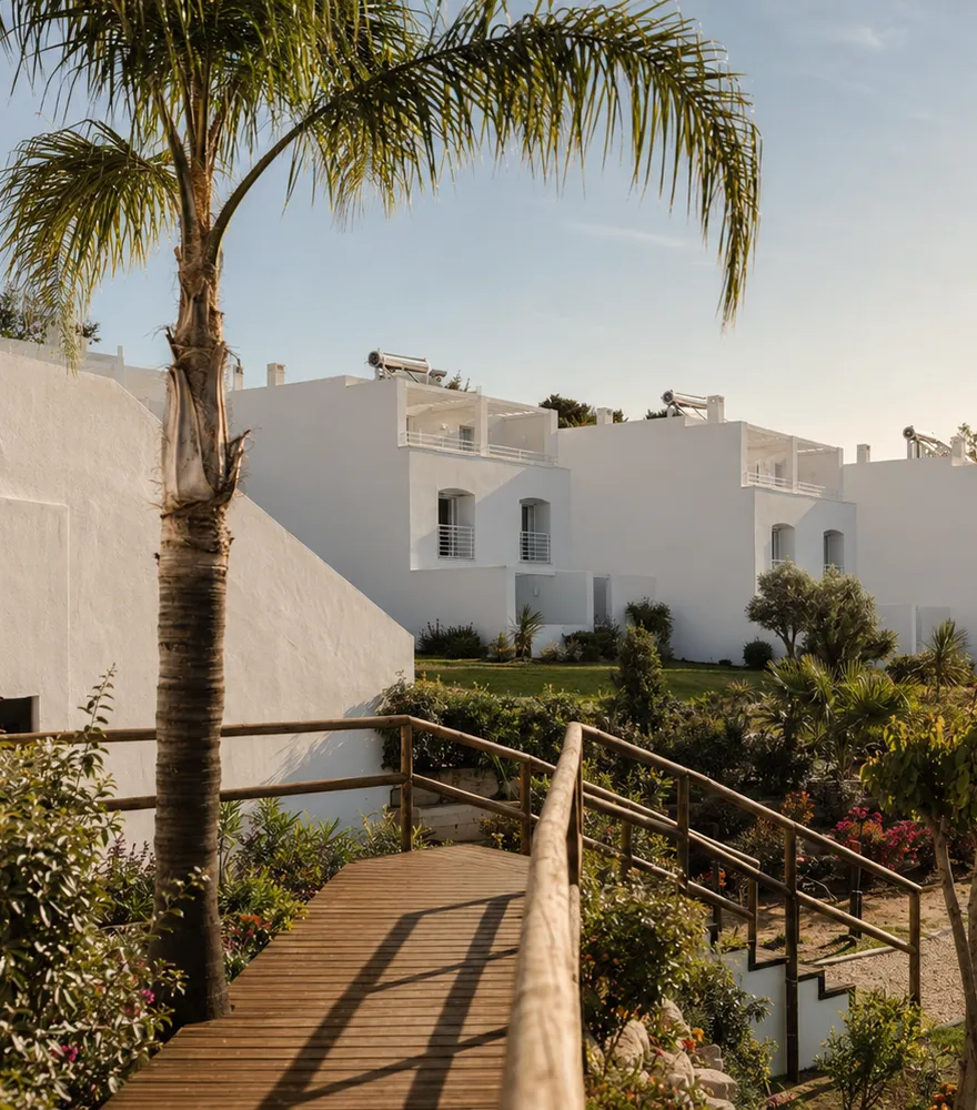 The walkway to NOOK, framed by bougainvillea